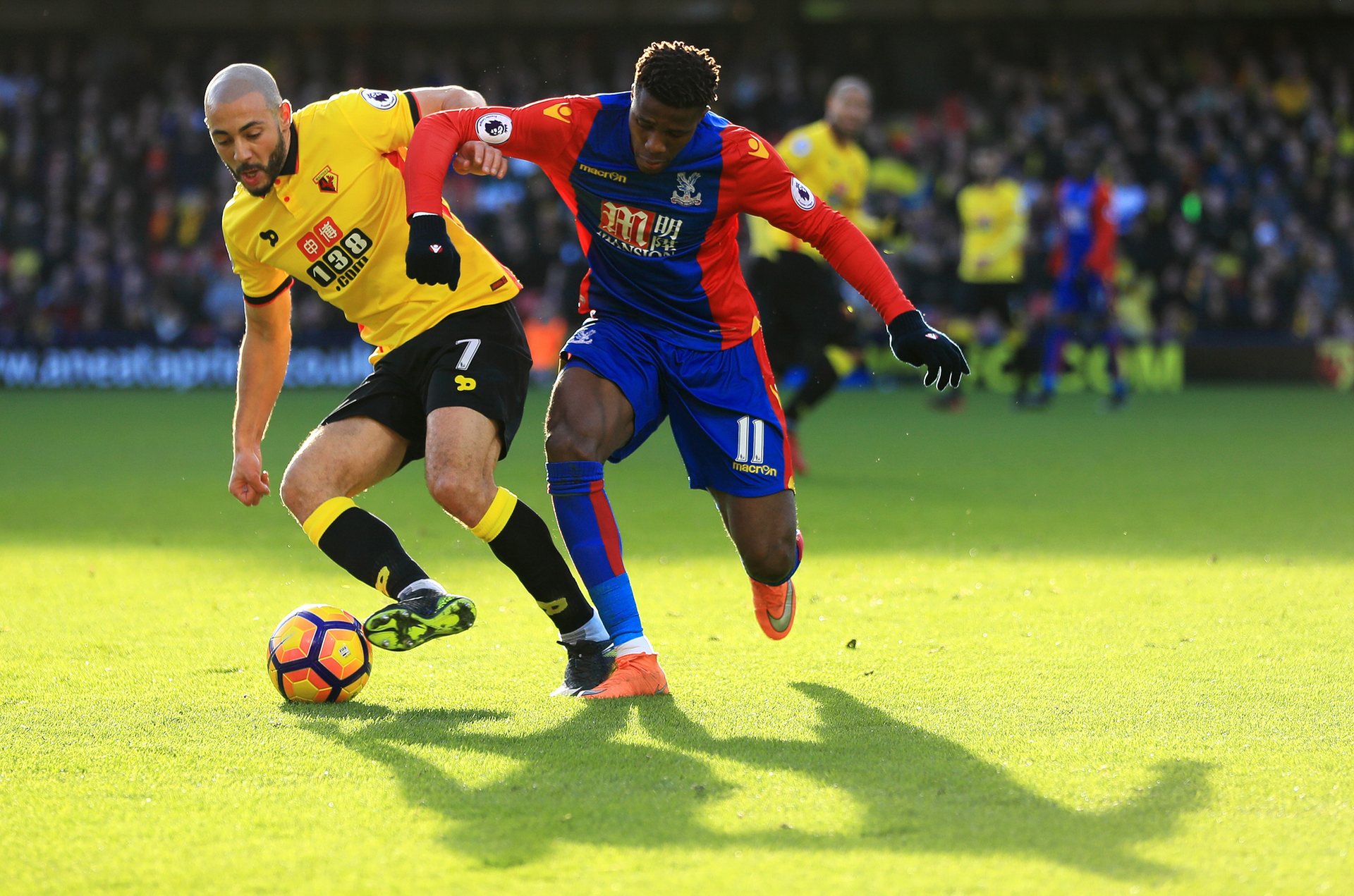 元合作的不 元合作的不