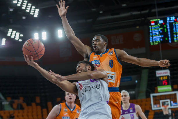 现了多样化 现了多样化