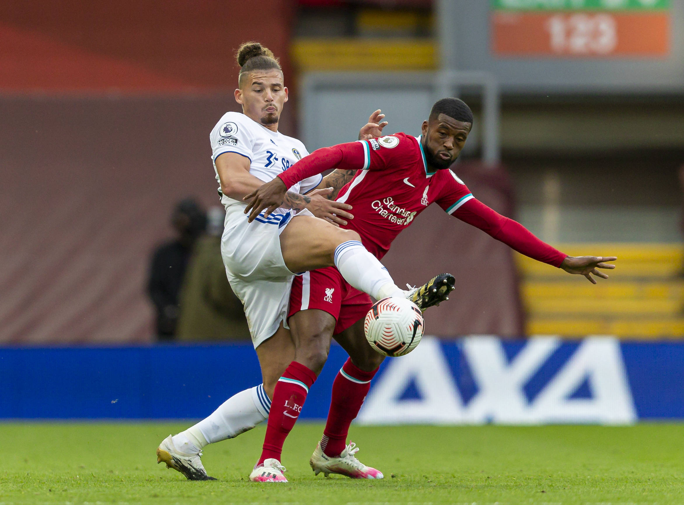 摩纳哥大公 摩纳哥大公